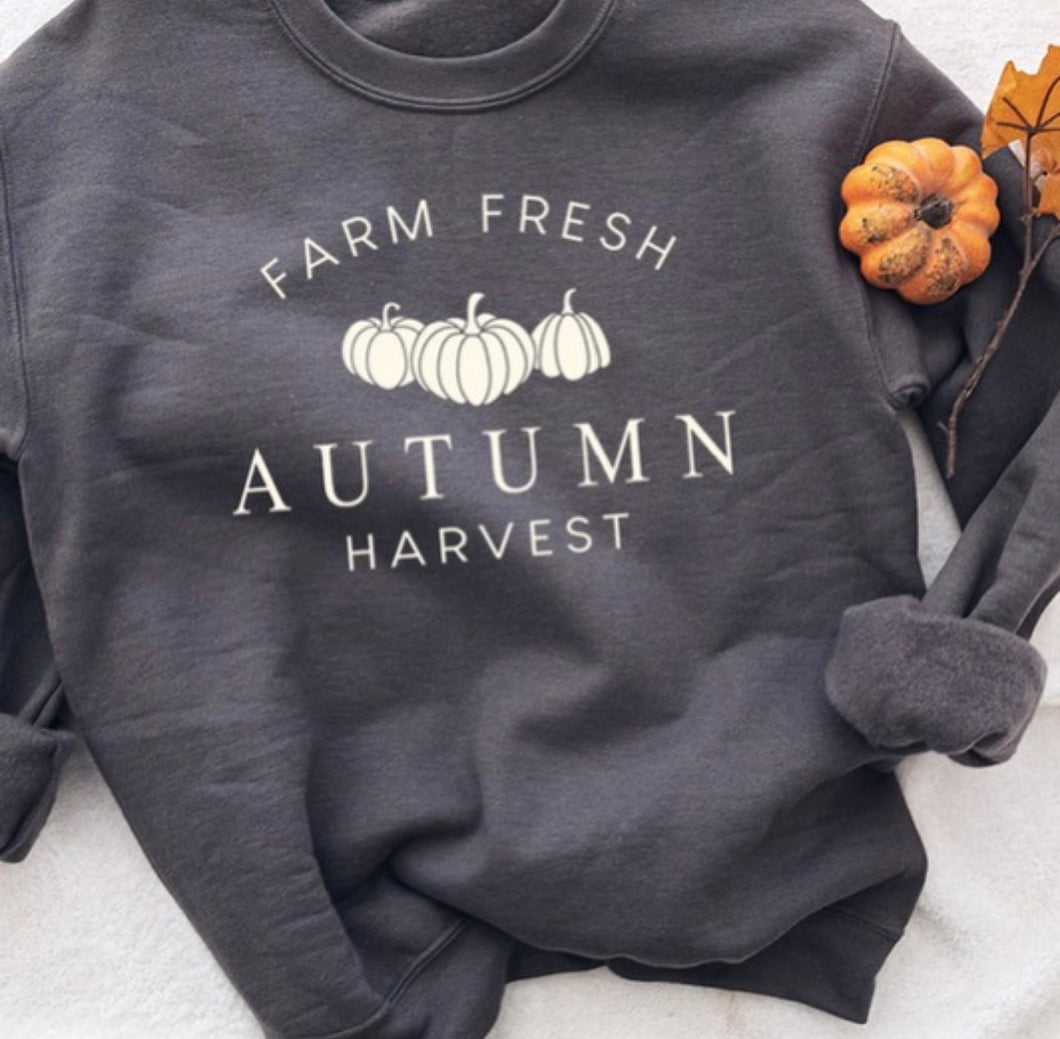 Grey Autumn Harvest Sweatshirt